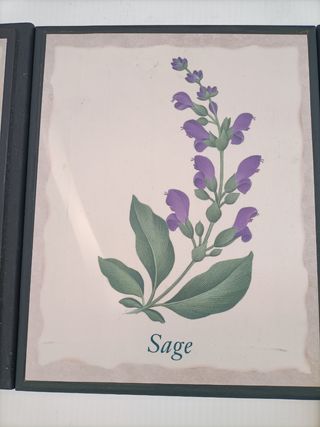 5 Quadri - Fiori & Paesaggio