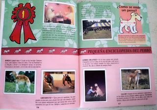 Álbum Perros & Gatos Completo