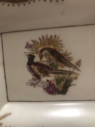 Ceniceros Becara - caza