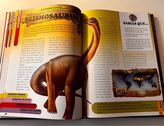 Lote libros dinosaurios y lamparitas
