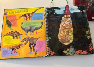 Lote libros dinosaurios y lamparitas