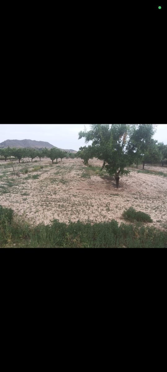 Terreno en Cordovilla