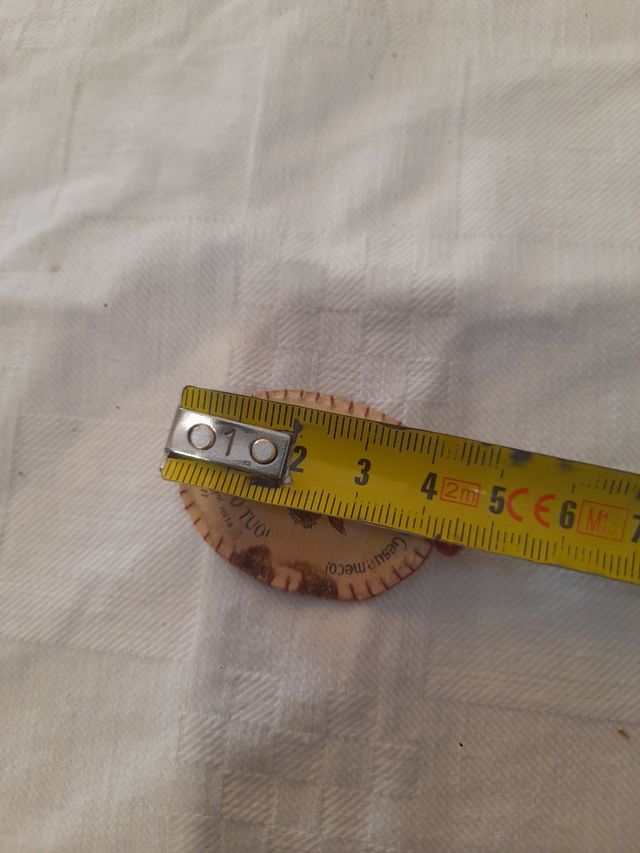 Scapolare Cuore Gesù Sacro