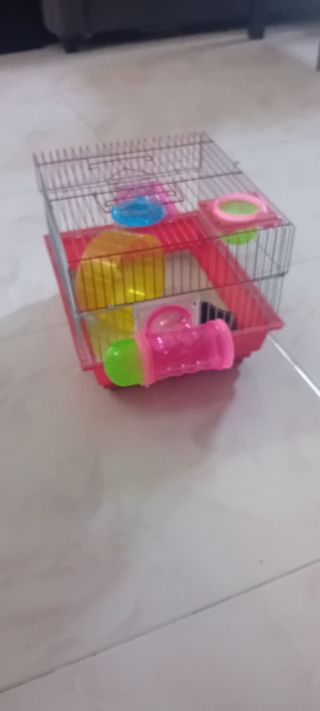 Jaula hamster