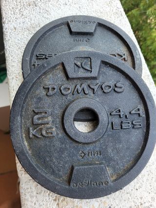2 Pesas de 2 kg cada una
