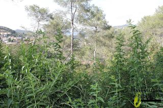 Terreno en venta en Torrelles de Llobregat