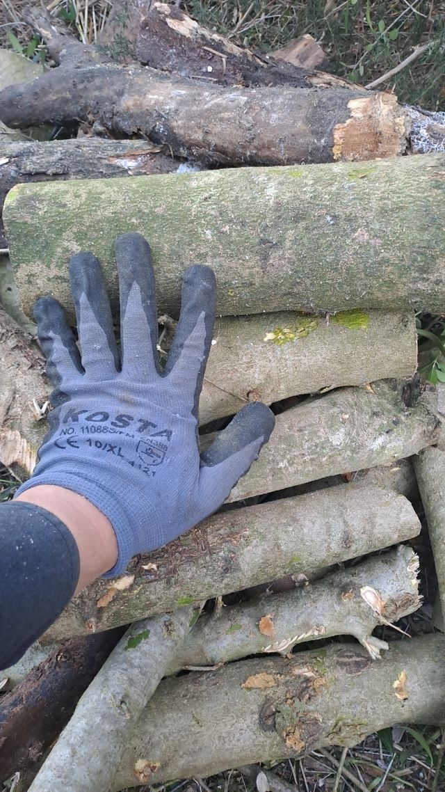 Legna da ardere Ulivo 25-100kg