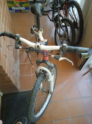 Bicicleta monty