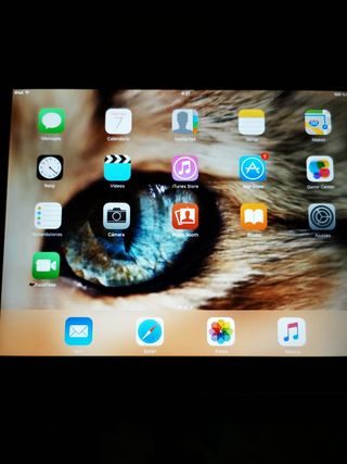 iPad 1ª generación - Silver