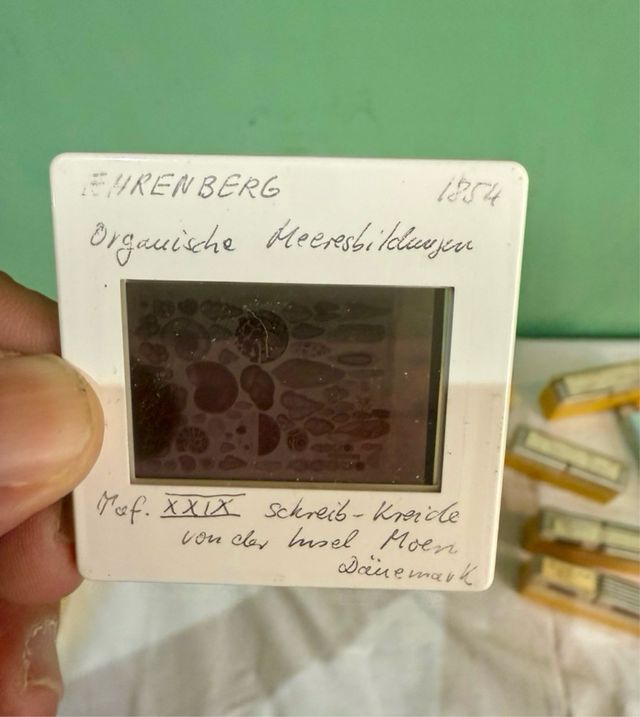 Gigante lote de diapositivas antiguas