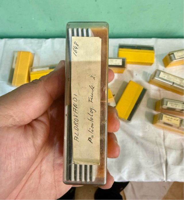 Gigante lote de diapositivas antiguas