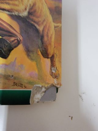 Biblioteca conan la espada salvaje de conan