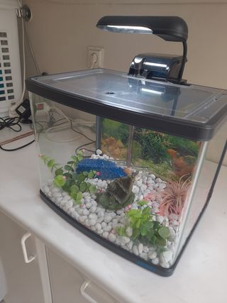 Pecera 12L con adornos, cascada y luz .