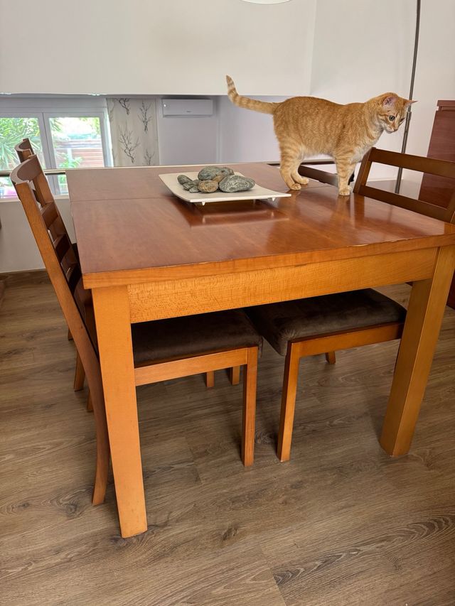 Mesa y 4 sillas madera