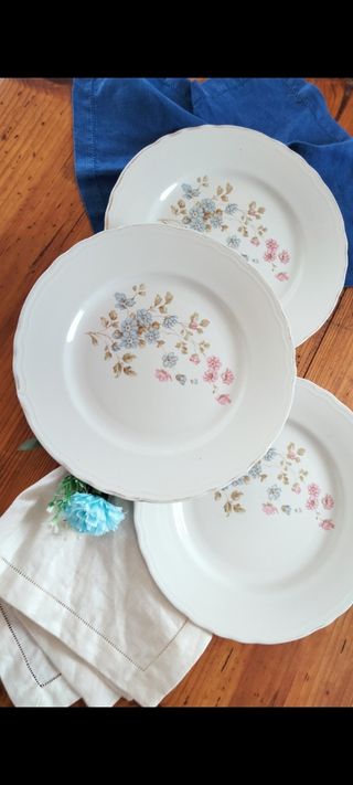 3 Piatti Tognana vintage
