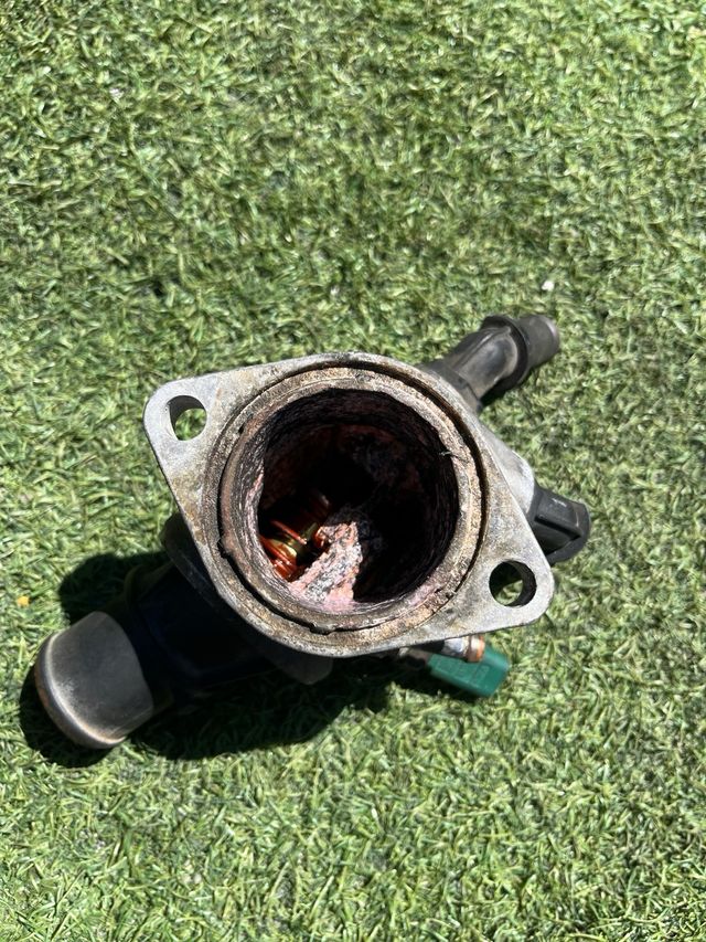 Termostato Opel Vectra C