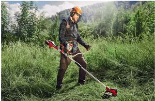 Trabajos de desbroce