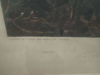 Grabado caza: Cuadro vintage