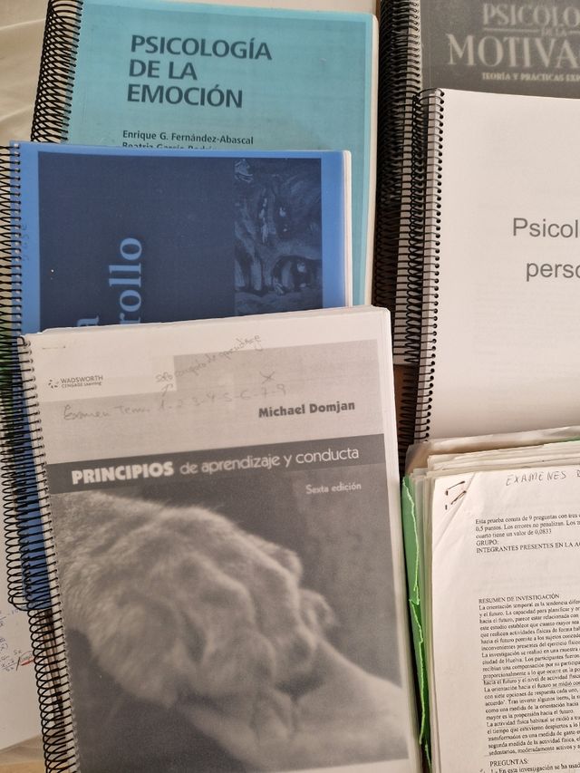 Apuntes Psicología: Motivación, Personalidad...