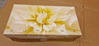 Zuecos rosa Romena, tacón bajo, talla 36