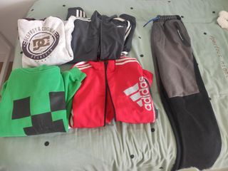 Lote ropa Adidas-DC Shoes