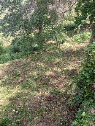Jardinero profesional 632472573