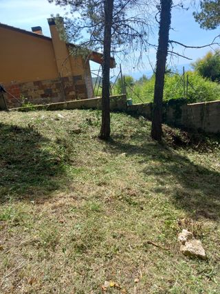 Jardinero profesional 632472573