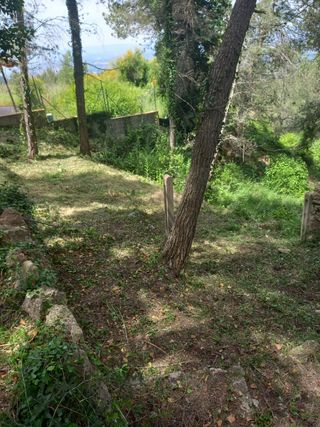 Jardinero profesional 632472573