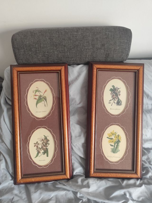 2 Cuadros florales vintage