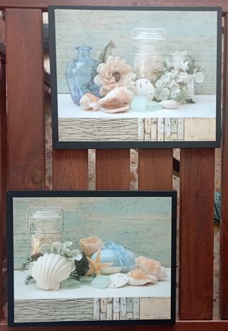 Quadri con stampe a tema marino in cornice