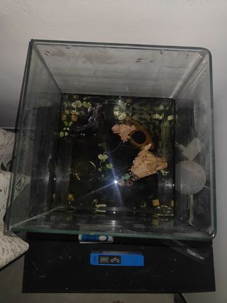 Acuario 40l -pecera completa
