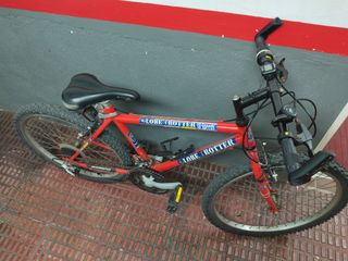 Bicicleta Globe Trotter 24" 18v