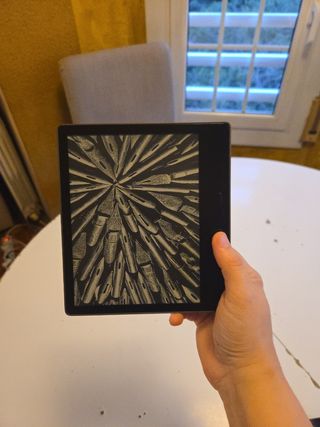 Kindle Oasis: custodia marrone + lettore nero