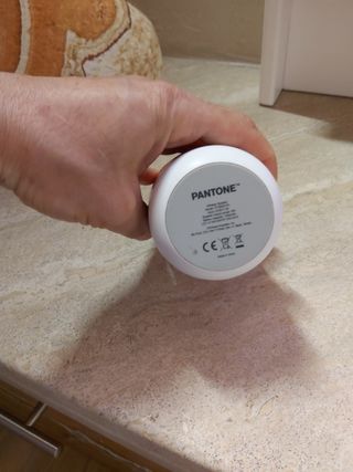 Pantone PT-BS001R1 cassa Portatile Rosso Bluetooth