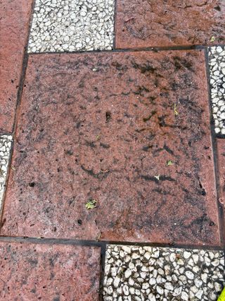 Mantenimiento piscinas: Limpieza y cuidado