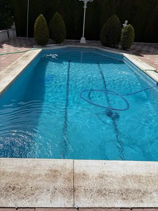 Mantenimiento piscinas: Limpieza y cuidado