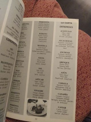 Guia para entenderse en alemán, francés e inglés.