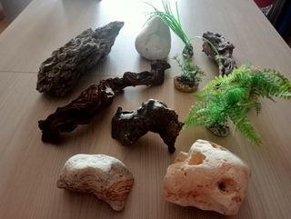 Decorazioni acquario usate