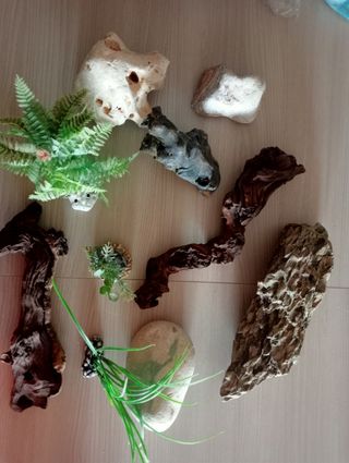 Decorazioni acquario usate