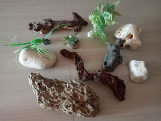 Decorazioni acquario usate