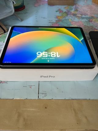 iPad Pro 11"+ celular (4a gen) 256gb