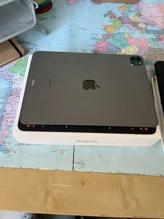 iPad Pro 11"+ celular (4a gen) 256gb