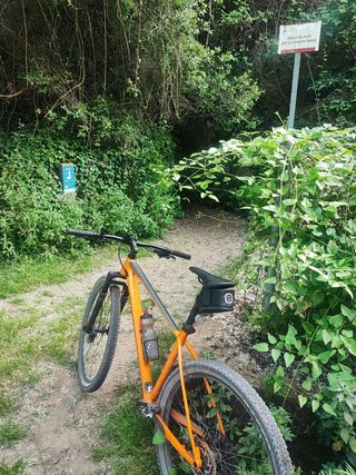 Bicicleta Scott Scale 960