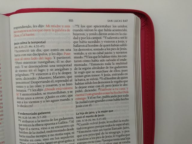 Biblia RV1960 - letra grande - Rosa