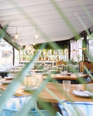 Traspaso Bar Restaurante Palma