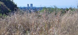 Terreno en venta en Elviria en Marbella