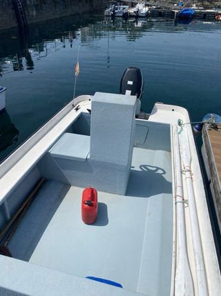 Planeadora 5.30m Suzuki 50cv