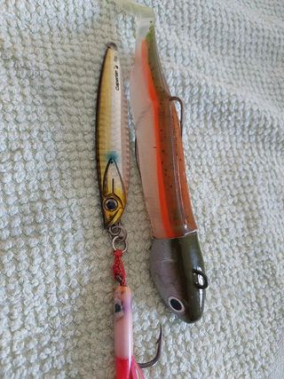 Canna,Esche ed ami  per big fish