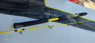 Canna,Esche ed ami  per big fish