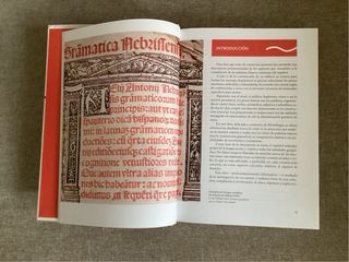 Construir bien en español. Forma  de las palabras